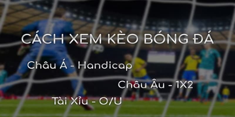 Cách xem kèo bóng đá chính xác dành cho người chơi Xoilac