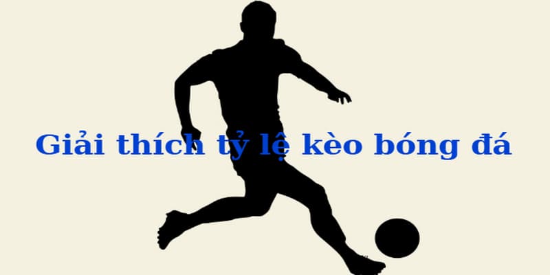 Giải thích tỷ lệ kèo bóng đá chi tiết từ Xoilac hôm nay