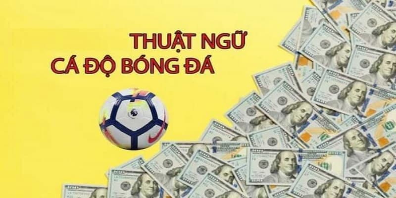 Cách áp dụng thuật ngữ cá độ bóng đá