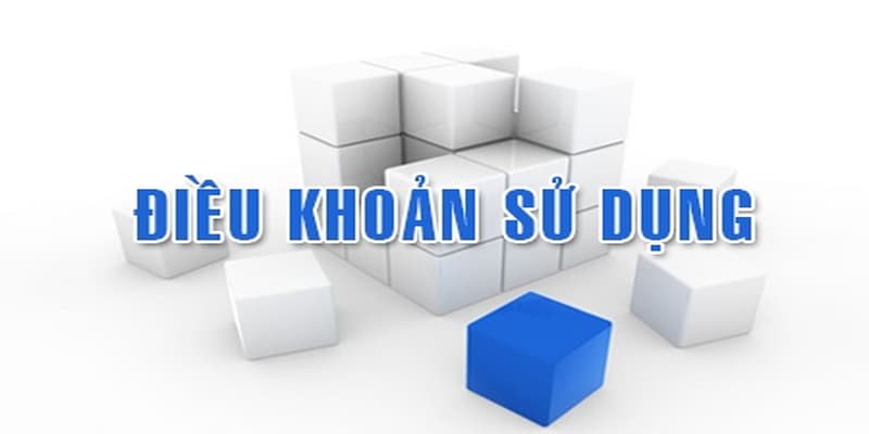Nghĩa vụ người chơi theo điều khoản sử dụng